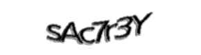 Security check image, please type the characters shown